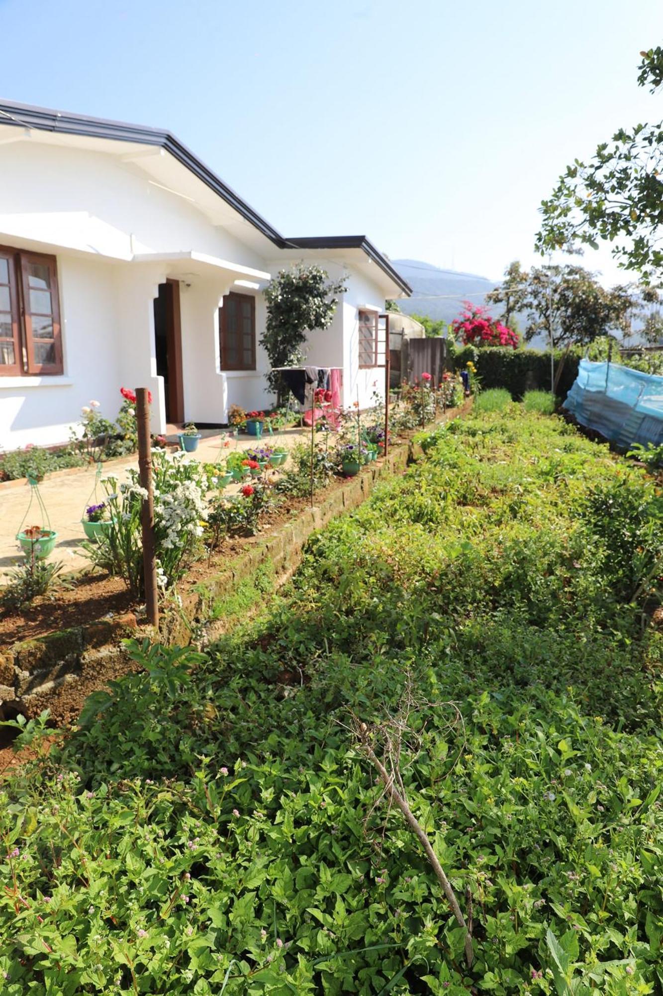 Dawn's Villa