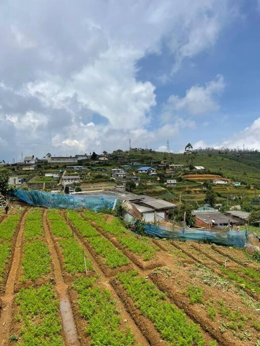 Dawn's * Nuwara Eliya